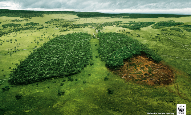 WWF in audizione alla Camera: